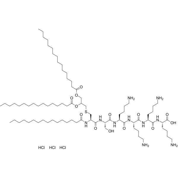 Pam3CSK4 trihydrochloride (Pam3Cys-Ser-(Lys)4 trihydrochloride) 112208-04-5